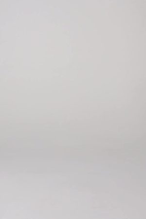 137 – GOLDEN ERA BODYBUILDING SHORTS