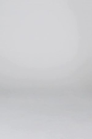 1112 – PERSIAN RUG SHORTS