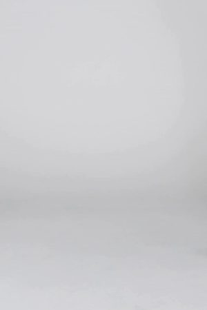 1109 – ALL-STAR SHORTS