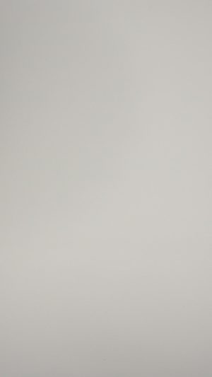 8009 – CLASE LONGSLEEVES