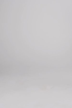 132 INFAMOUS BANDANA SHORTS