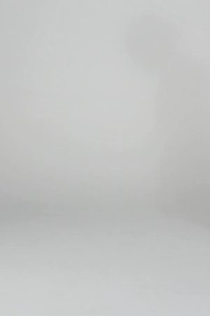 1037 – MESH BODYBUILDING SHORTS