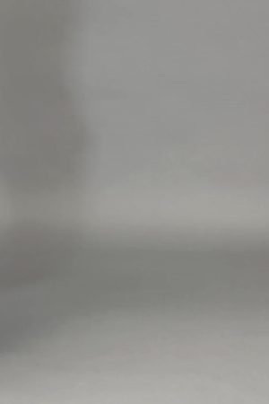 135 HOUSE PARTY SHORTS