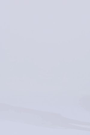 420 ESSENTIAL OVERSIZED TEE