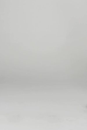 125 – OLYMPIC SHORTS