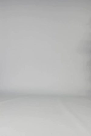 141 THE BLOCK PARTY SHORTS