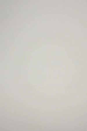 803 – FORMAL DRESS SHIRTS